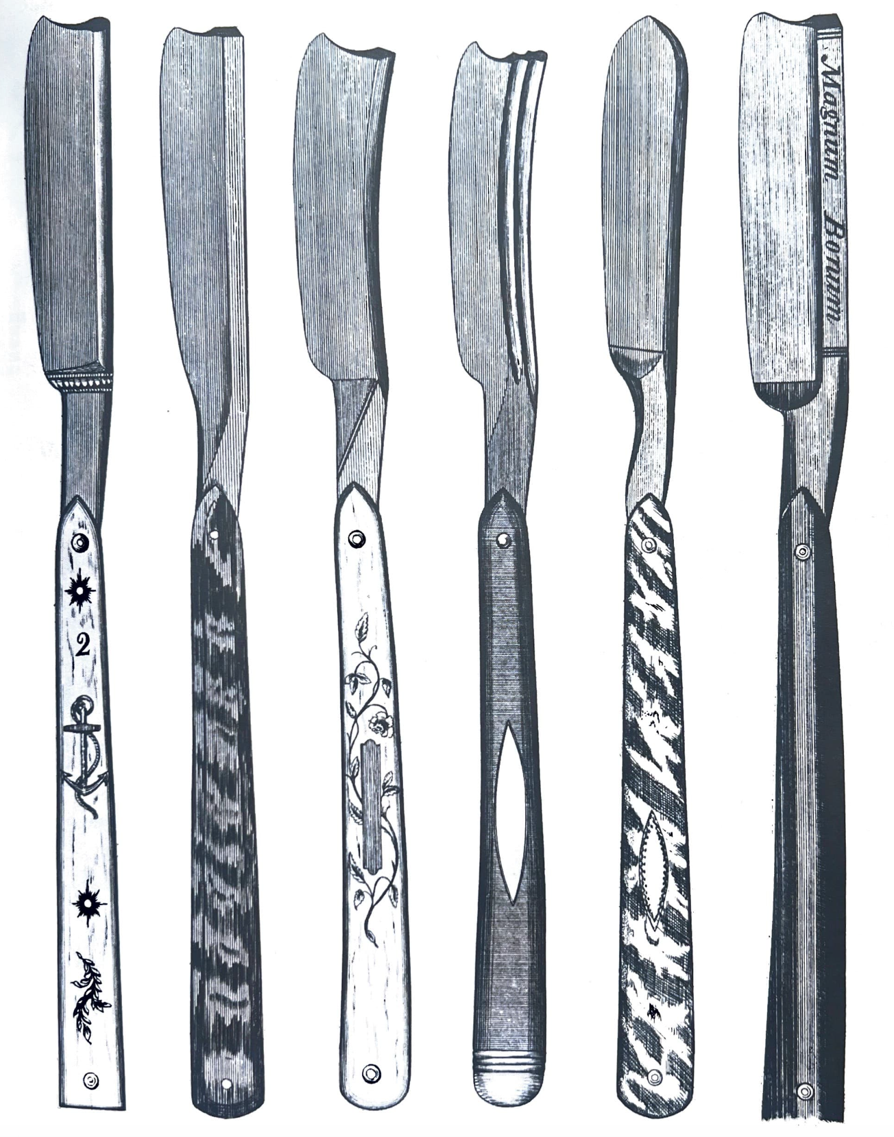 Grooming: How to Choose the Right Equipment